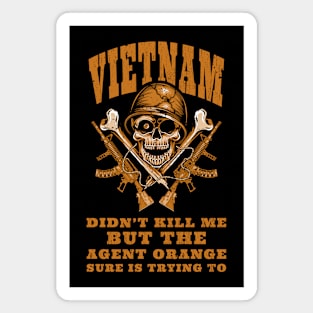 Vietnam-Veteran Magnet